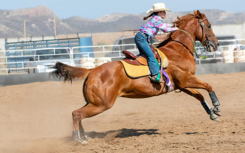 Kids Rodeo