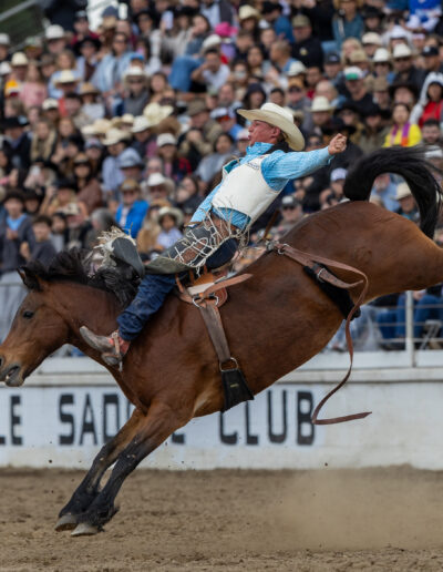 Bronc Rider