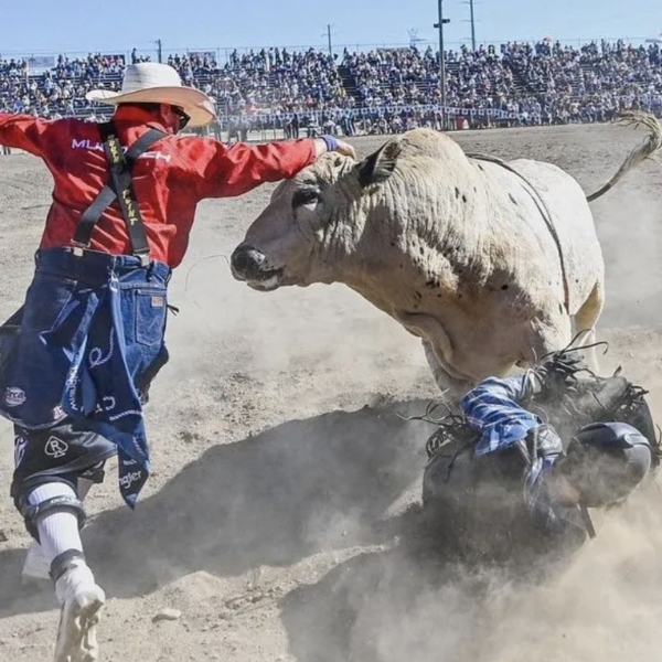 Dave Murdoch Bullfighter