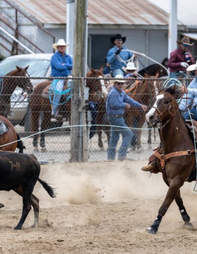 Team Roping