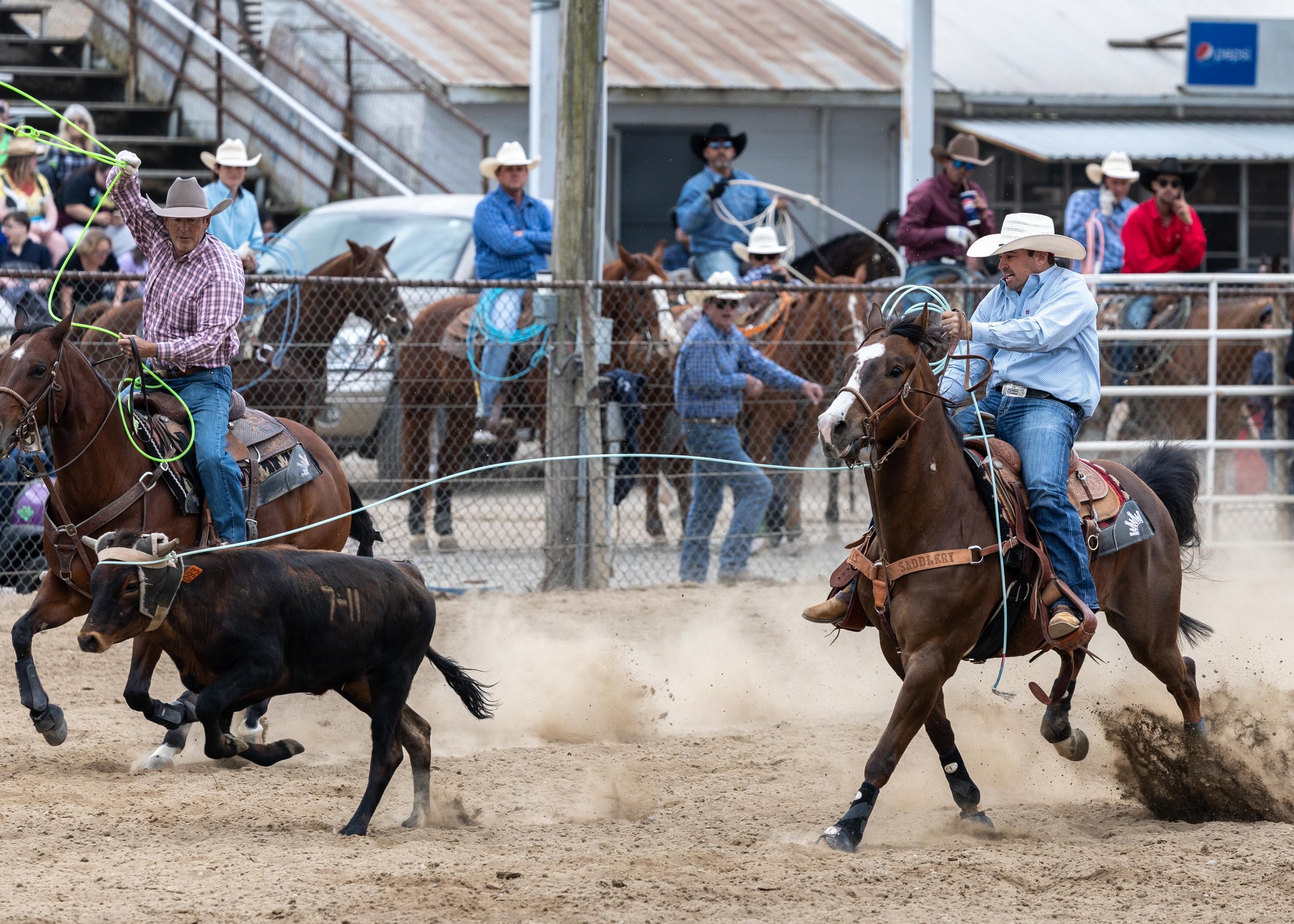 Team Roping